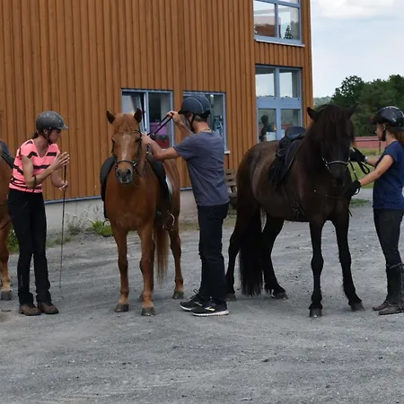 Ferienblockhaus 4 Hoelle