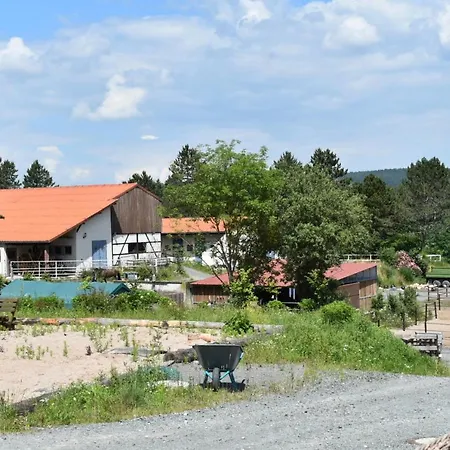 Ferienblockhaus 4 Hoelle Neudrossenfeld