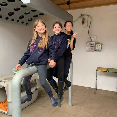 Ferienblockhaus 4 Hoelle